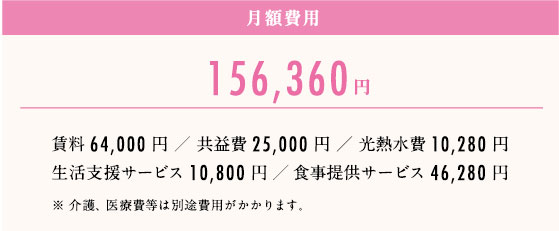 月額費用