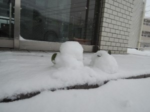 DSCN0480