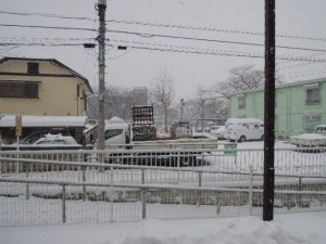DSCN0481