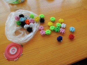 DSCN0489