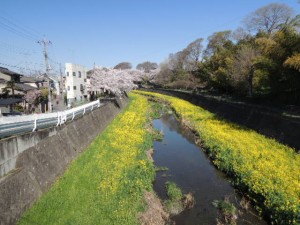 DSCN0502