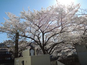 DSCN0505